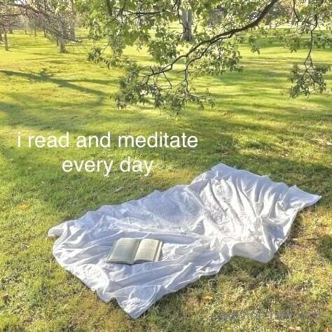media