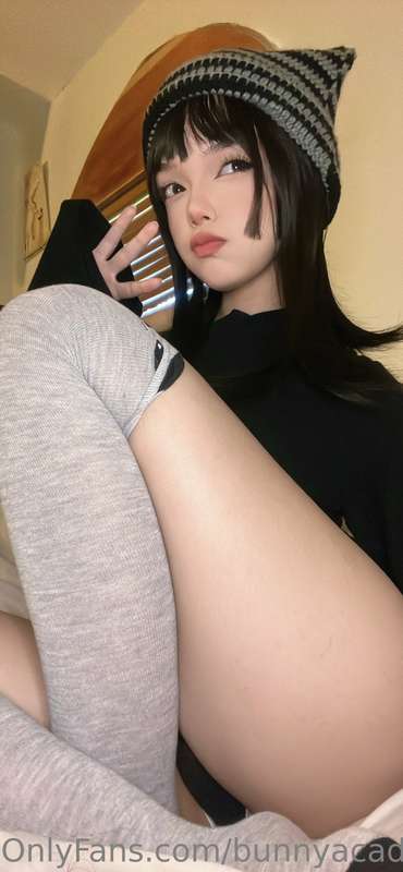 kowaipet