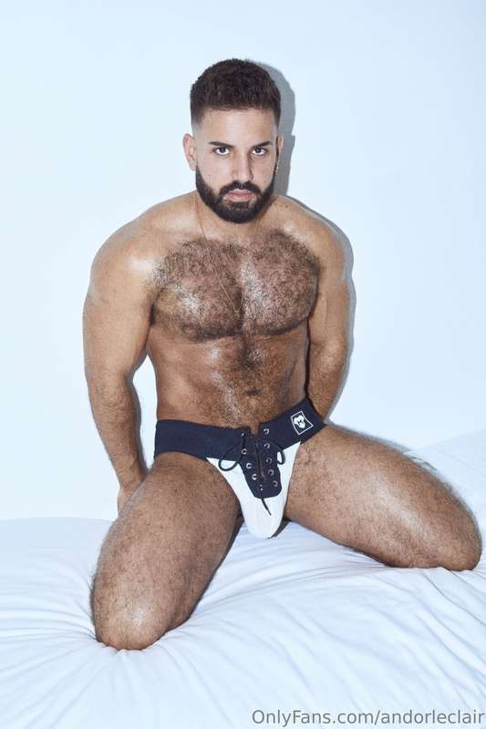 andorleclair