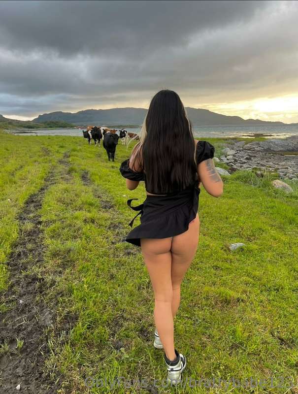 Norwegian summer😍🐮