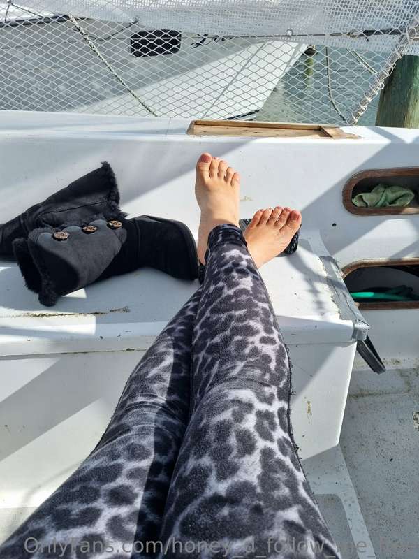 honey_d_follow_me_free