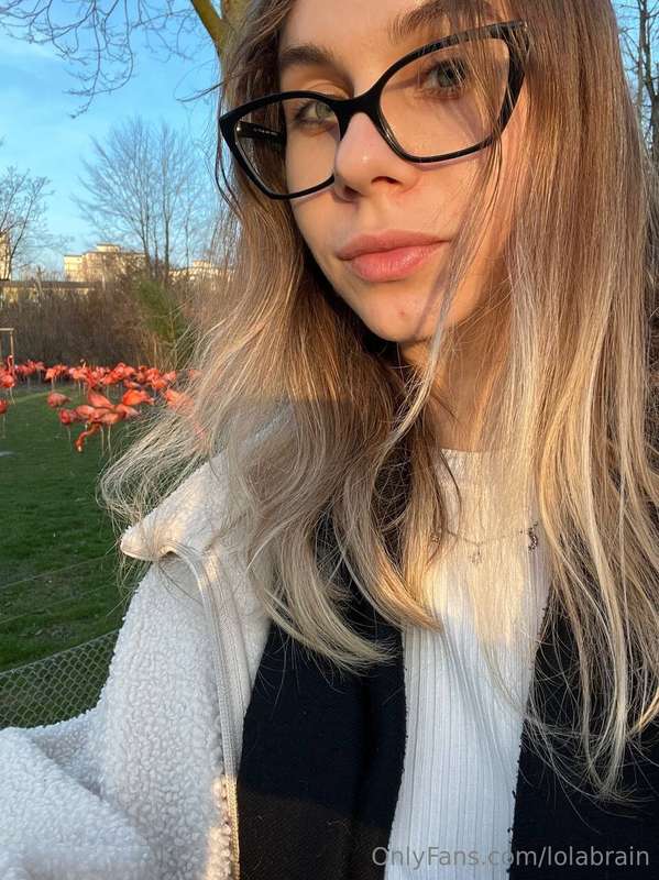 lolabrain