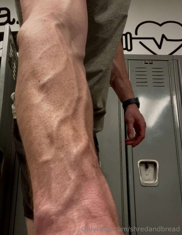 shredandbread