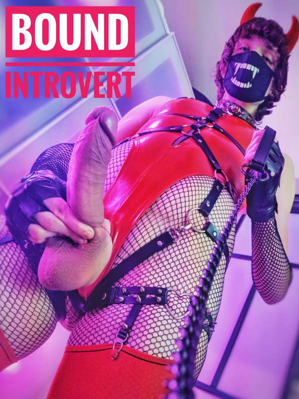 boundintrovert image #4