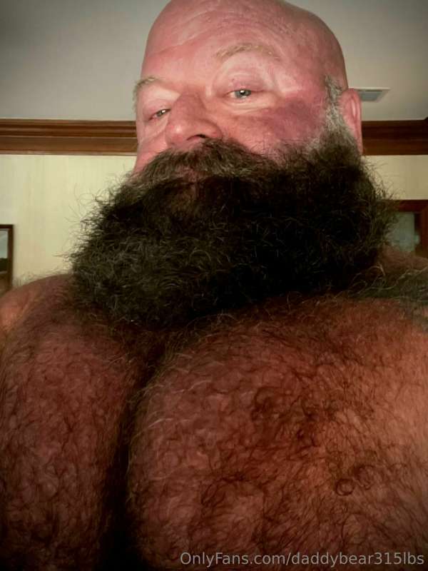 daddybear315lbs