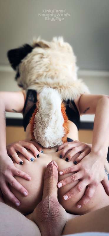 Puppy loves to show off her tricks to a good boy 🐶🔥 @Shyyrye..