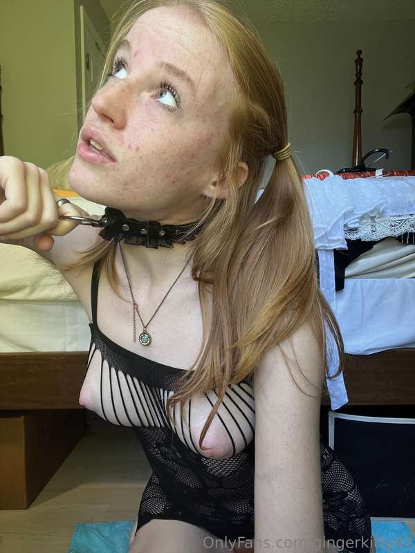 gingerkitty47 image #16