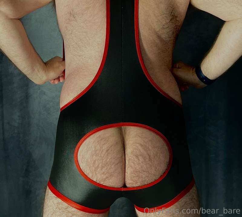 bear_bare image #2