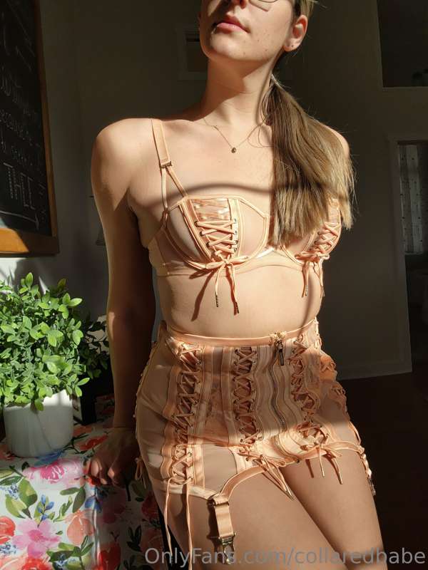 collaredbabe image #0