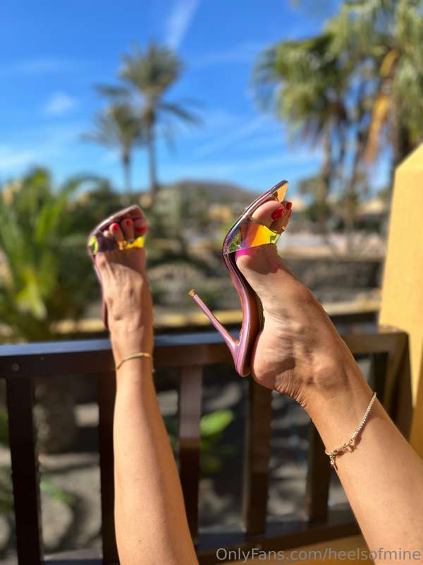 I love these mules in the sun 🥰