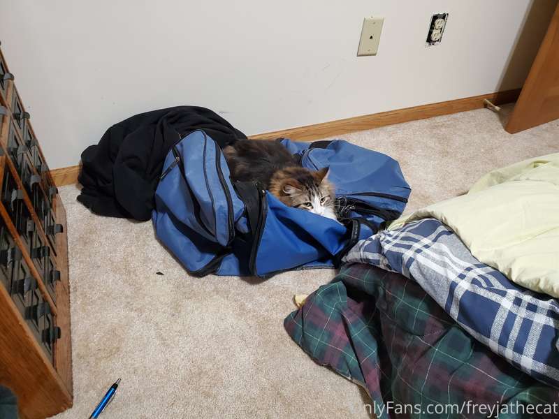 media