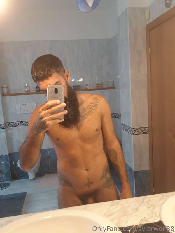 sylarwolf88
