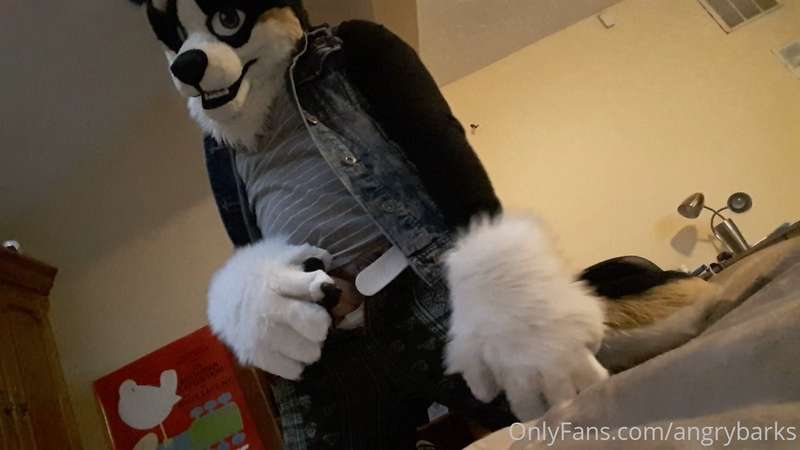 AngryBarks