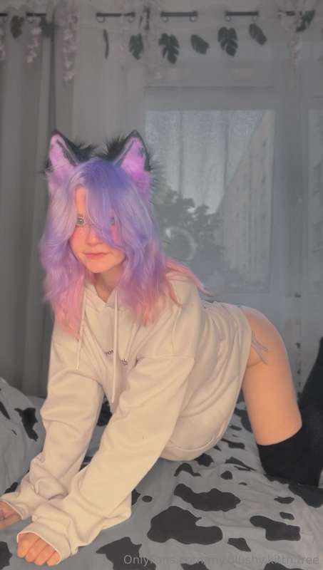my.blushy.kittn.free