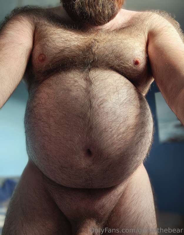 gordothebear
