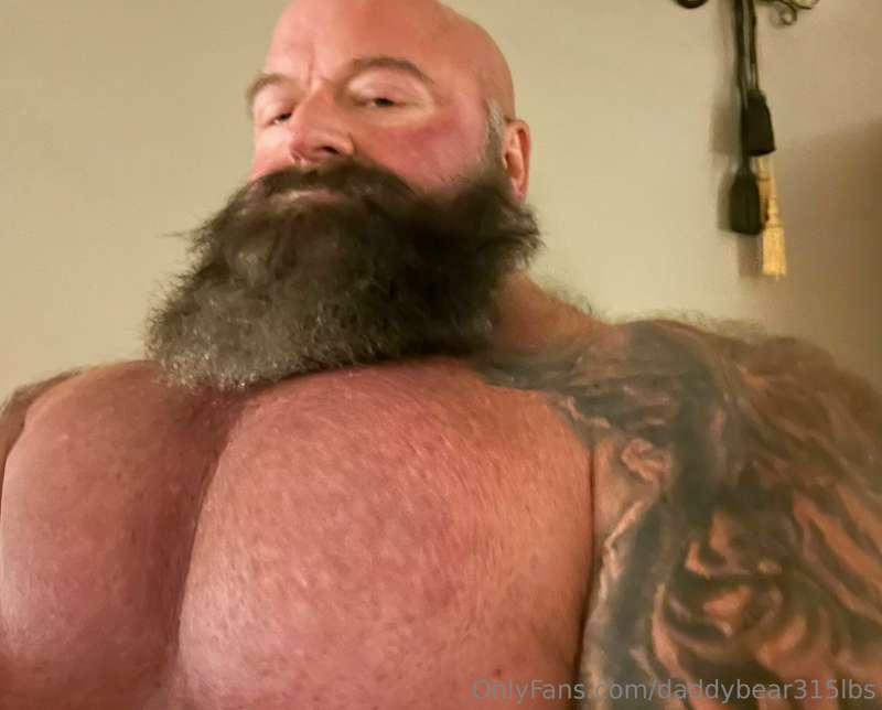 daddybear315lbs
