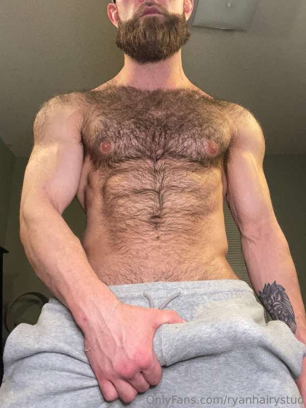ryanhairystud