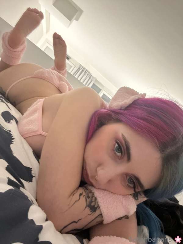 Pink rabbit