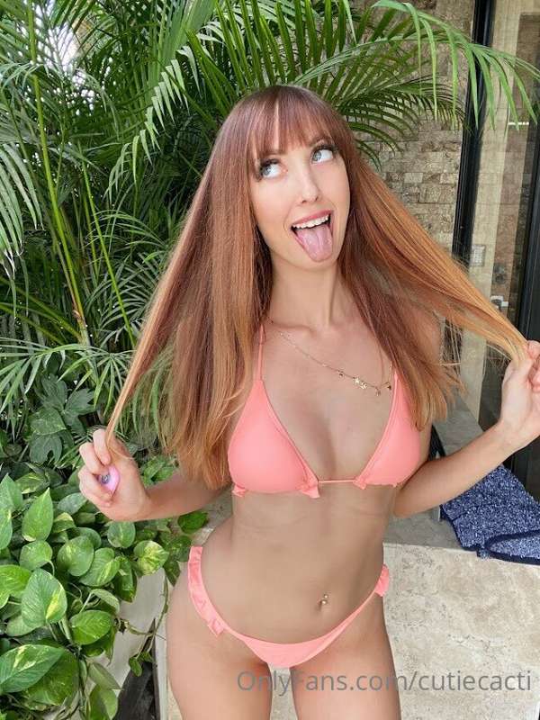cutiecacti