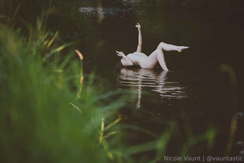 My impression of a swan