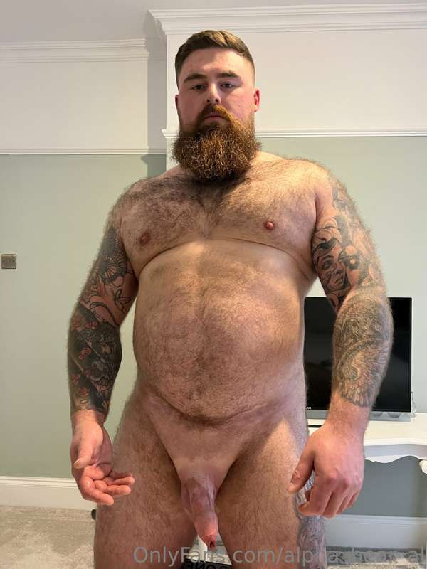 Who wants this bear in and around then ?