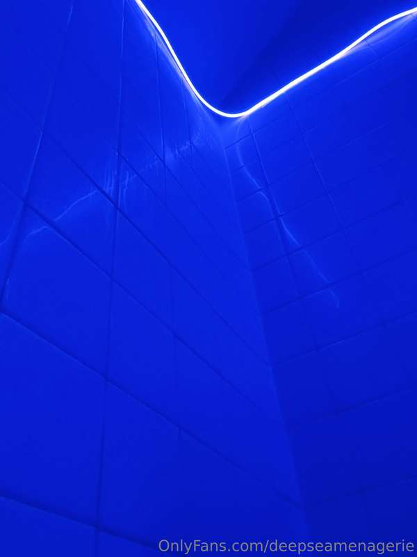 deepseamenagerie