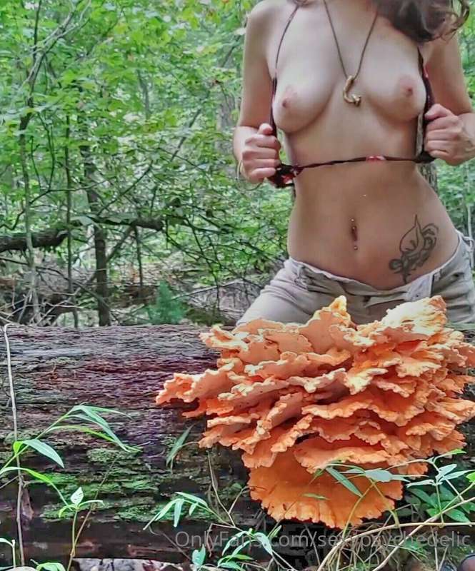 sexypsychedelic
