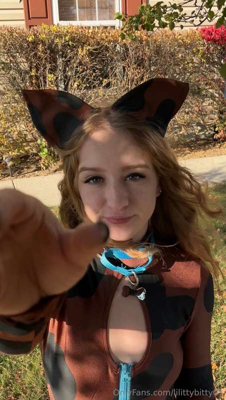 lilittybitty01