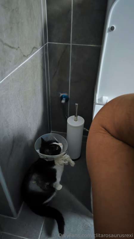 Today I'm taking Vixy to another vet visit. Hopefully she'll..