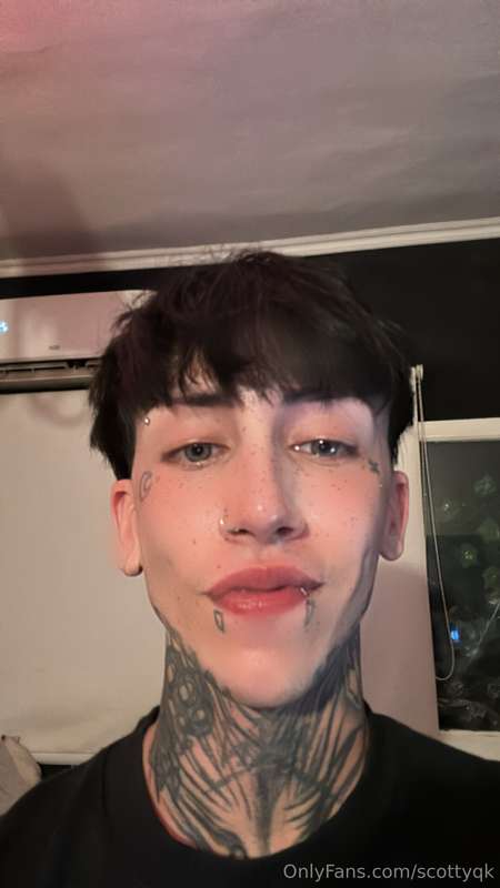 scottyqk