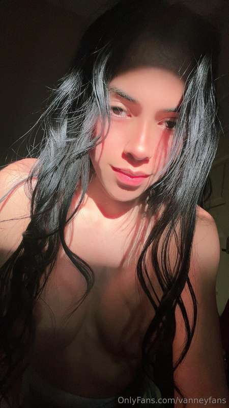 vanneyfans