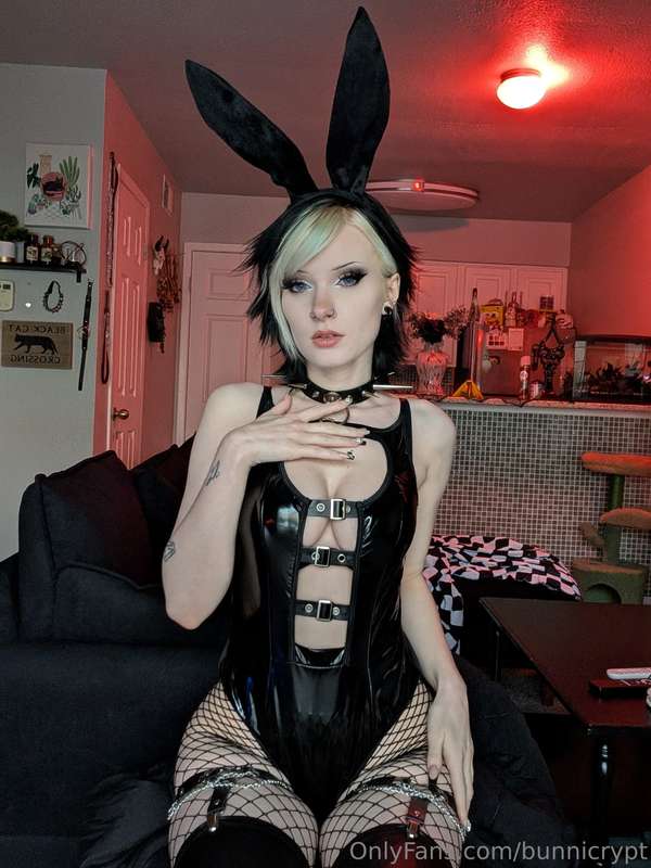 bunnicrypt image #6