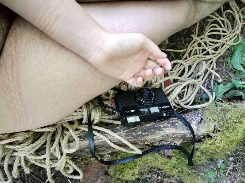 media