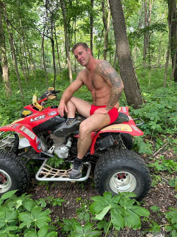 media