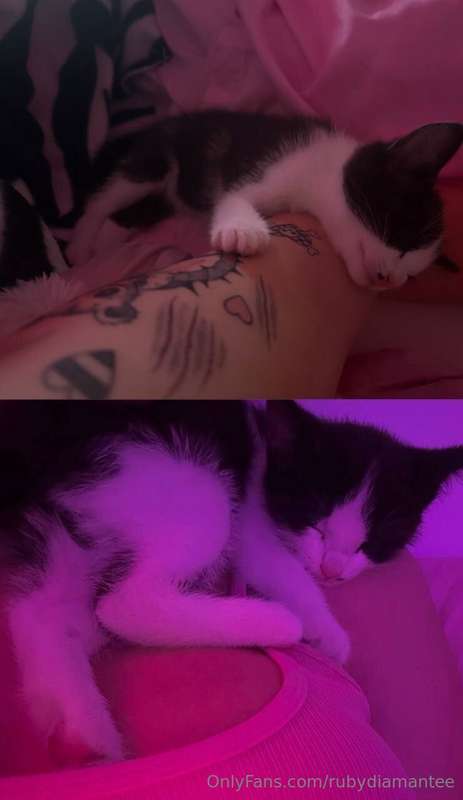 This is what my morning looks like 🥰Right now, this little m..