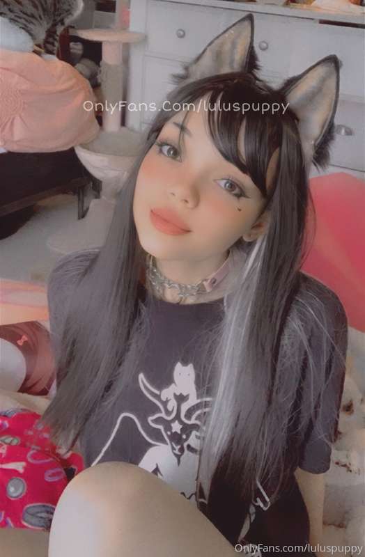 kowaipet