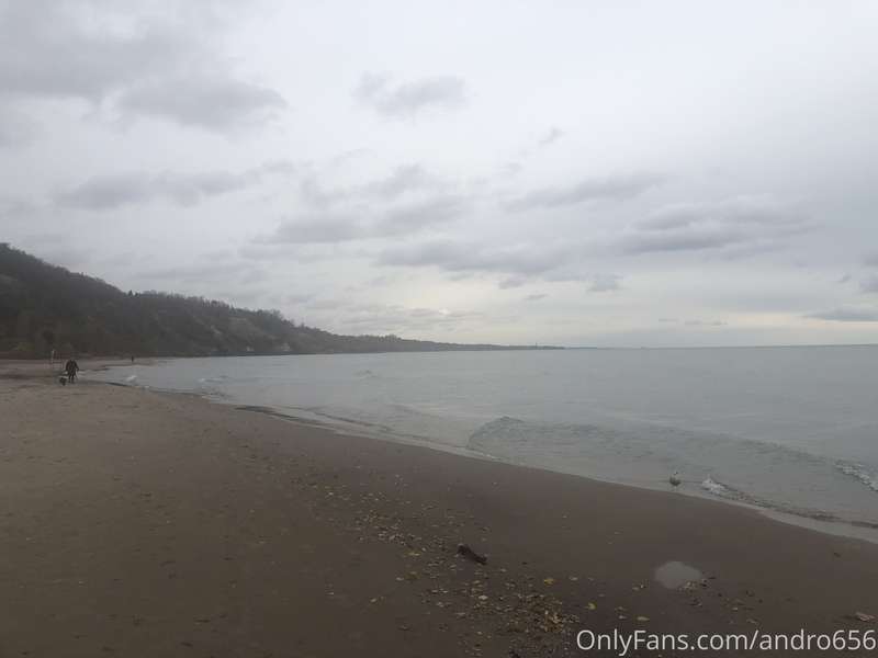 andro656 image #2
