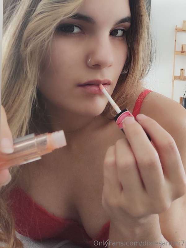 dixiesantini7