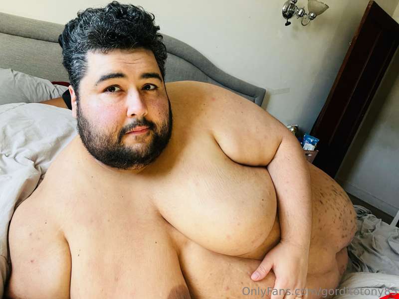 gorditotony85