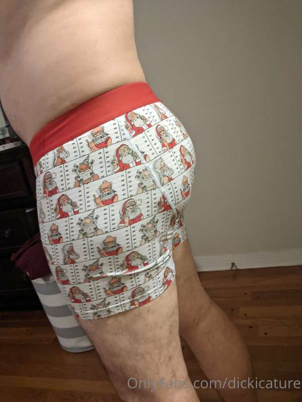 dickicature image #1