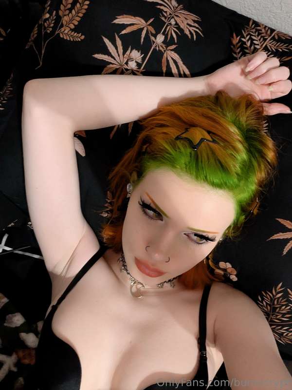 bunnicrypt image #0