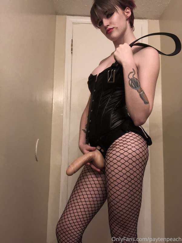 gingerkitty47 image #0