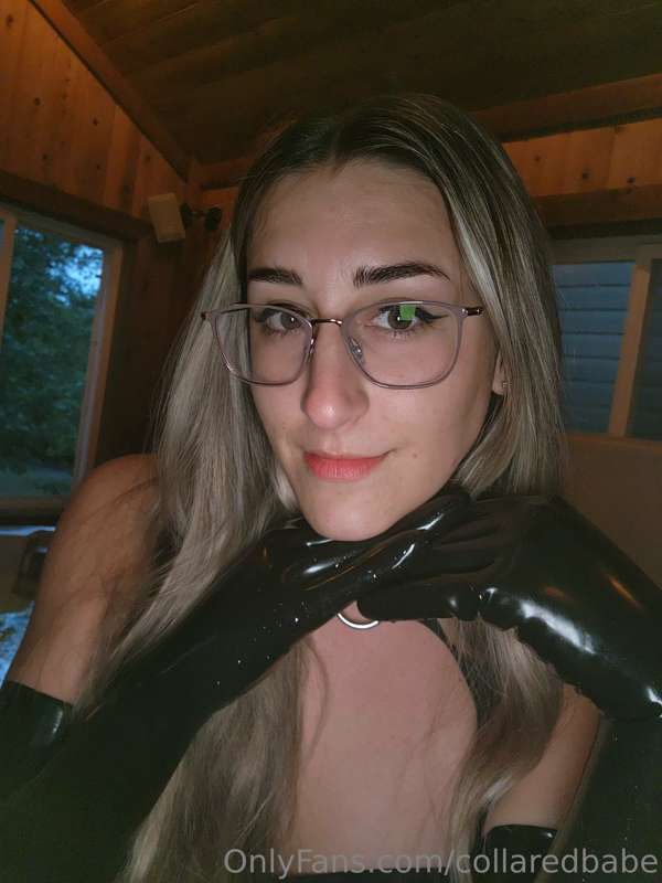 collaredbabe image #0