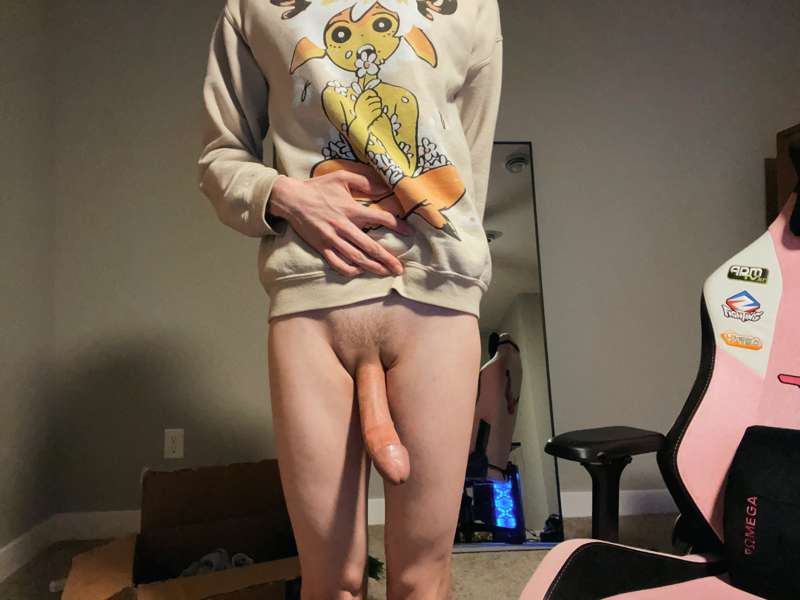 catboiaoi image #0
