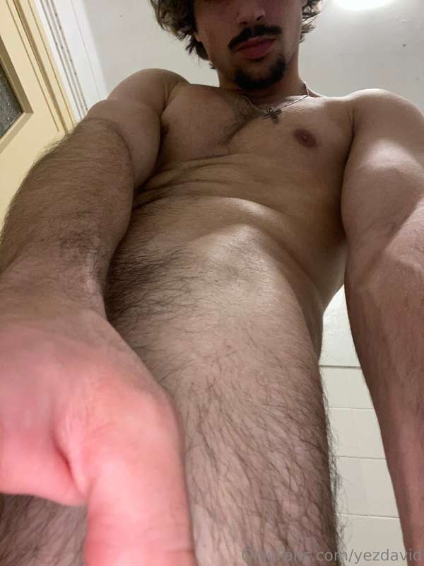 yezdavid