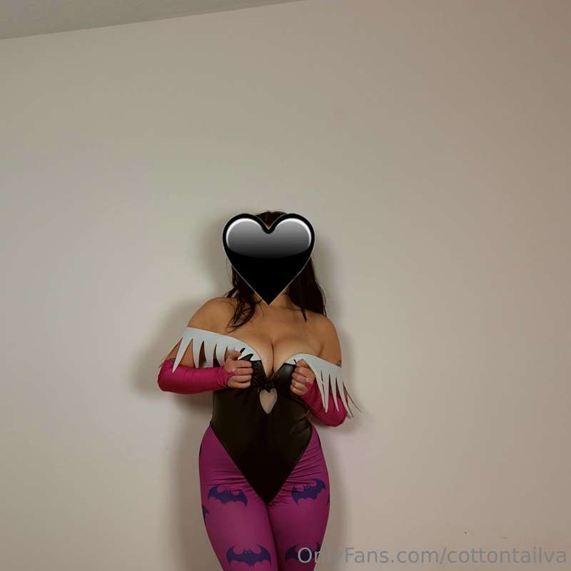 cottontailva image #10