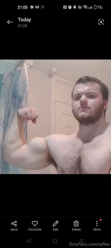 ssflex image #2