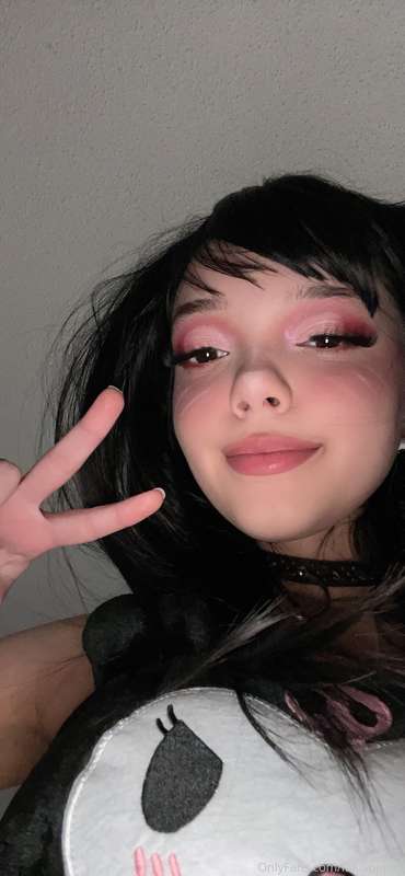 kowaipet