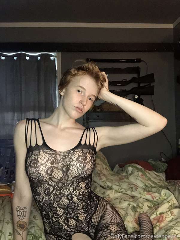 gingerkitty47 image #0