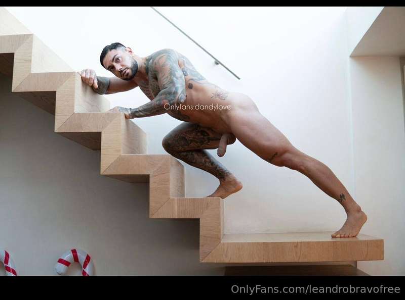 leandrobravofree